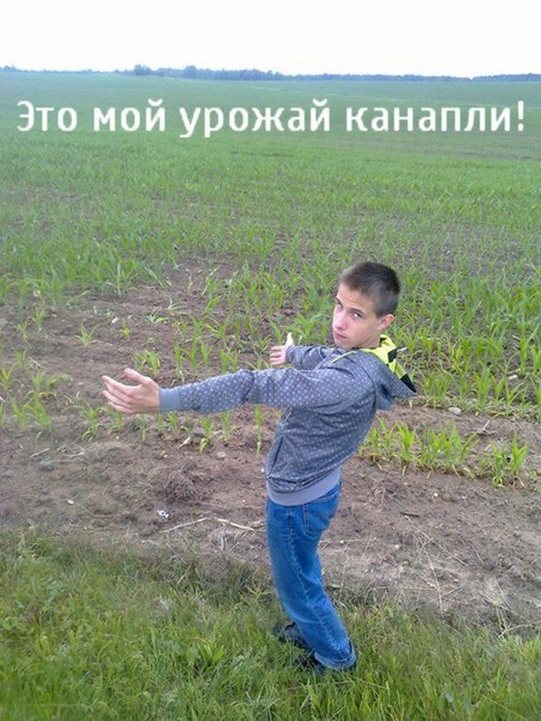 Соцсети - и смех и грех