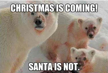 Аморальный и чёрный юмор к началу недели