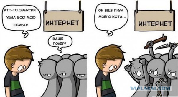 Мальчик подразнил кота, папа скомандовал – Фас!