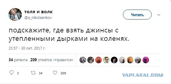 Смешные комментарии из социальных сетей 24.11.2017