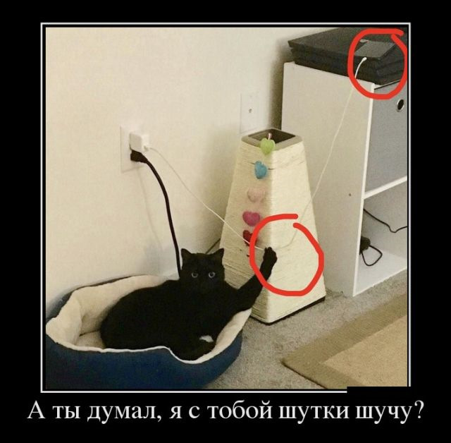 Просто картинки