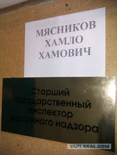 Им повезло с именами и фамилиями