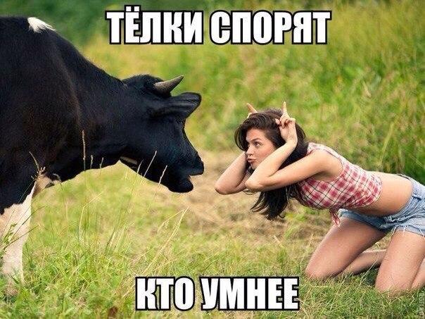 Нестандартный юмор