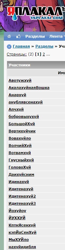 Власти запрещают мат в соцсетях под страхом блокировки