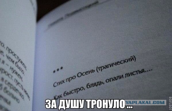 Не очень адекватный юмор