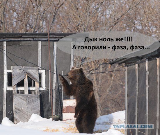 Камчатский электрик