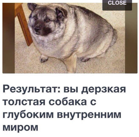 Лёгкая наркомания наступает на пятки