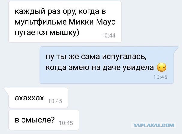 Нестандартный юмор