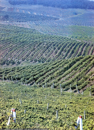 Молдавская ССР 80-х