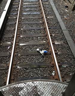 Машинист остановил поезд и спас котейку на рельсах