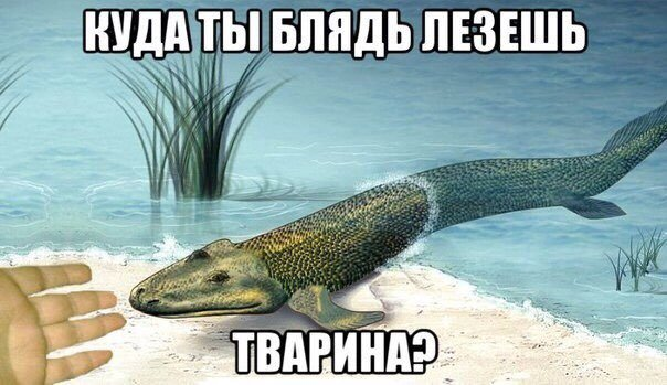 20 лет у руля