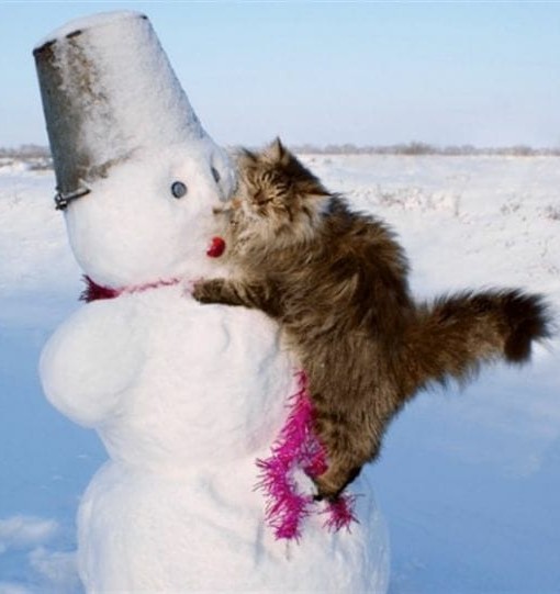 Начнем котоФторник?