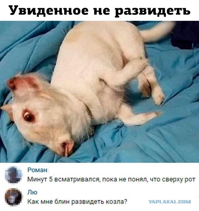 Так себе картинки 14.05.20