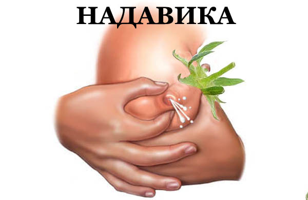Фотожаба: Лето, фрукты, генетика!