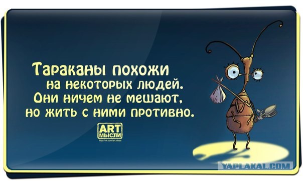 Бредзона
