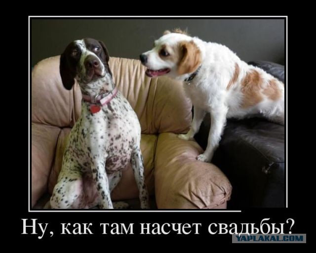 Женились ли бы вы снова на своей жене ещё раз?
