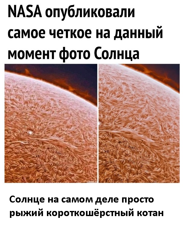 Весёлый полтишок 2.03