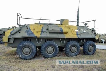Охота на зайцев. Американских