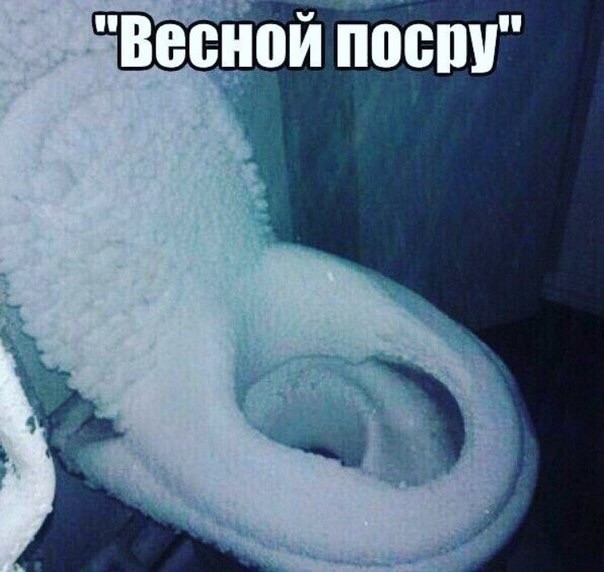 Антидождь в унитаз