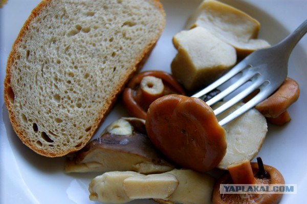 Осень в банках