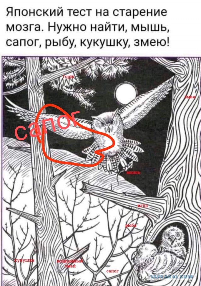 Бредзона 10.10.2021