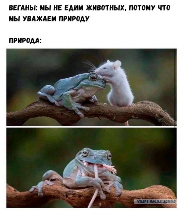 Картинки и мемы для настроения 01.11.2021