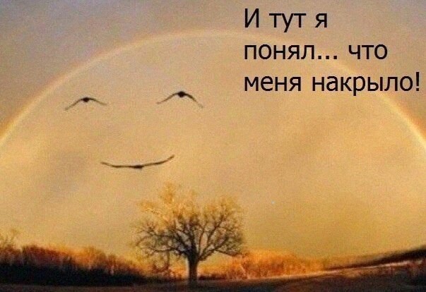 Так себе картинки 05.12.21