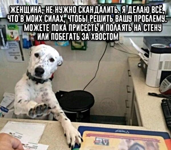 Один шаг и она начнется