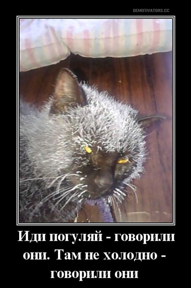 "Пьятничные" картинки