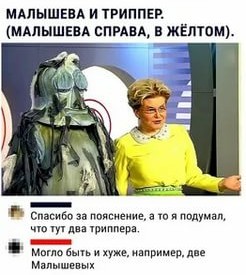 Бьюти-блохер