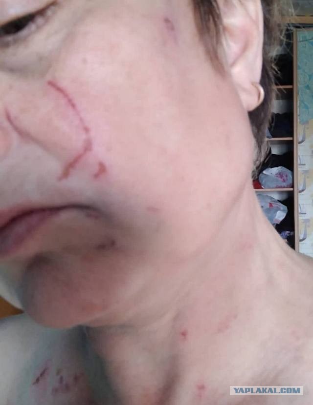 В соцсетях появились кадры, на которых семья из трех человек избила женщину в Хабаровском крае