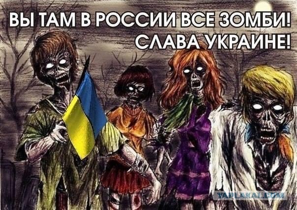 Заблудилась