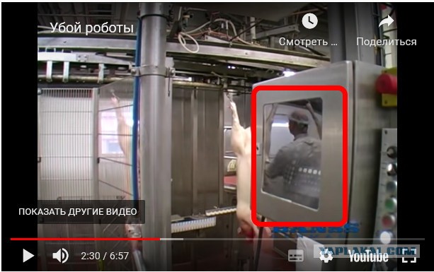 Разделка свиней