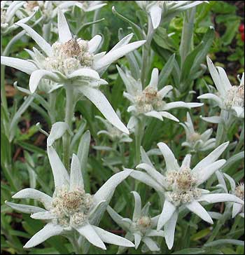 Рыбалка в горах. Плато Ассы.