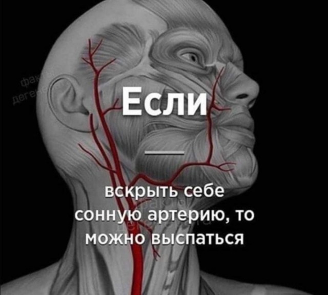 Так себе картинки 06.07.22