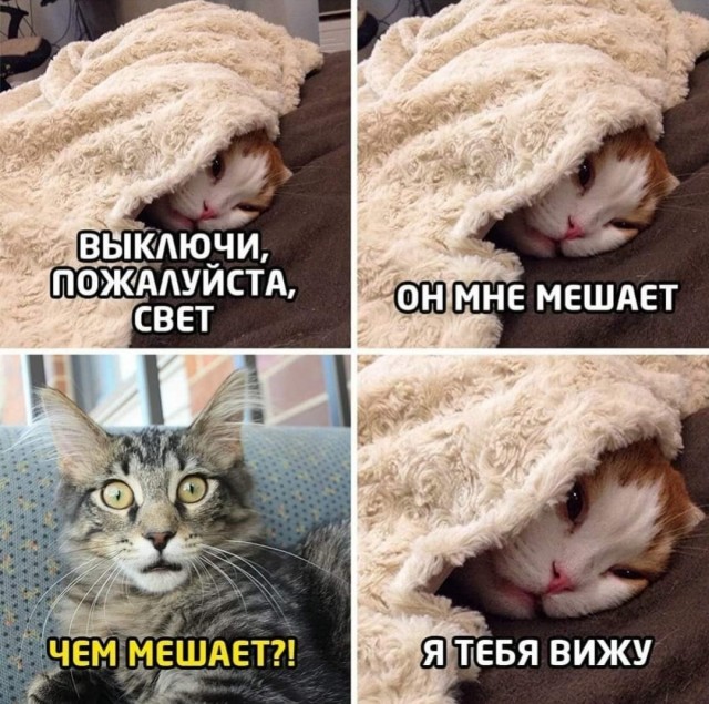 Картинки и мемы для настроения - 19