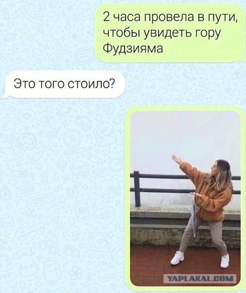 Весёлый полтишок 11.08.22