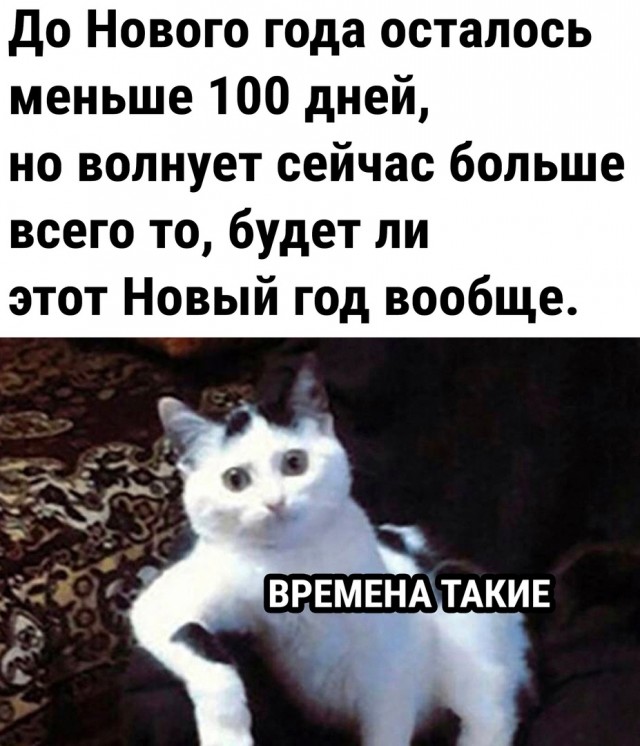 Пришла повестка по ошибке видимо...