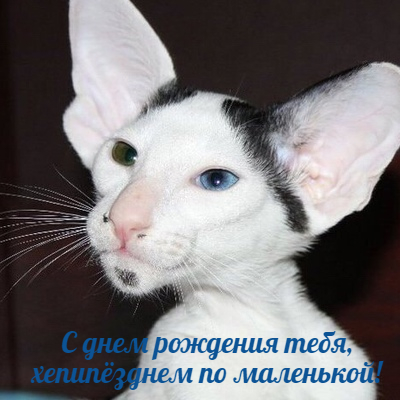 Победная поступь идиотизма по планете – том 6
