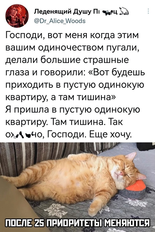 Картинки и мемы для настроения - 119