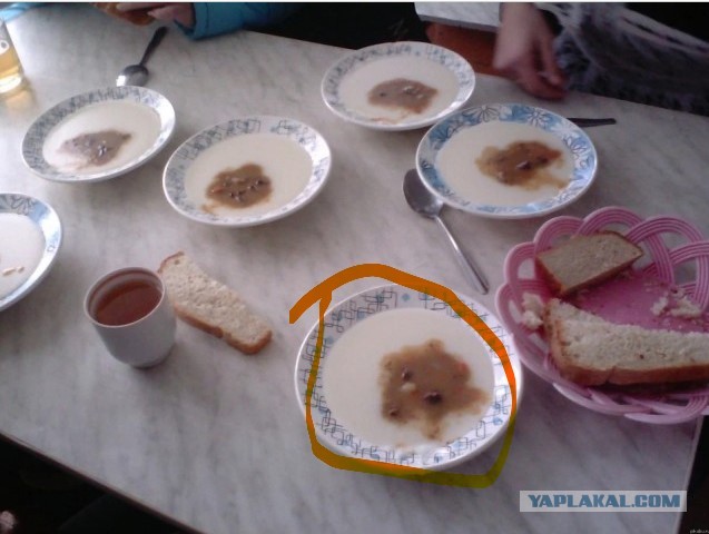 «Учителя просят детей не кушать!»