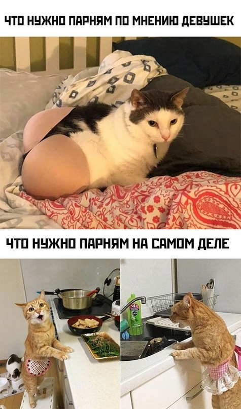 Немного картинок для настроения - 135