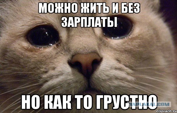 Уважение коту! Сразу видно, что без дела не сидит
