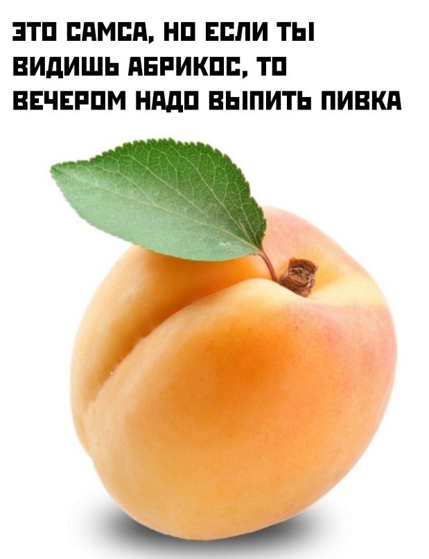 Весёлый полтишок 07.08.23