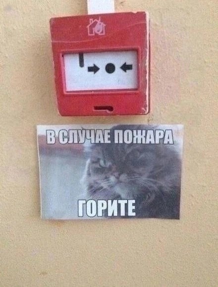 Нуштош 26.06.2024