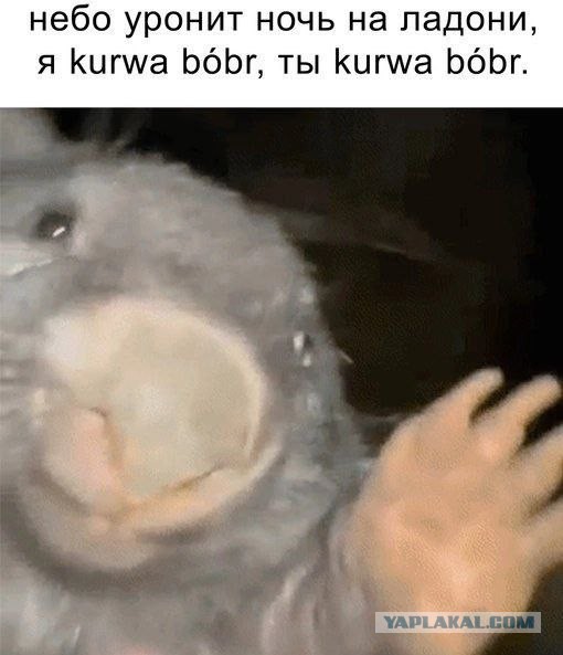 Сборник бабаянов или неожиданная помойка от Неждалигады