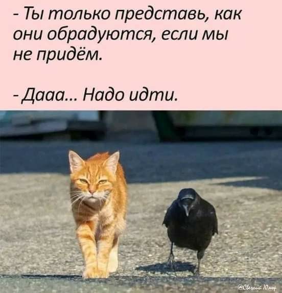 Немного пошлых картинок 16+ 21.08.24