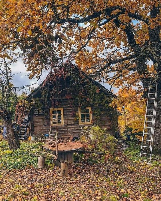 Прикольные и просто красивые картинки