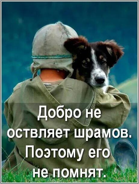 Так себе картинки 25.11.24