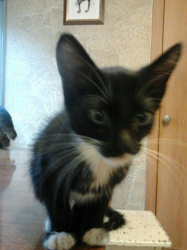 Блин. На меня пацан обиделся!